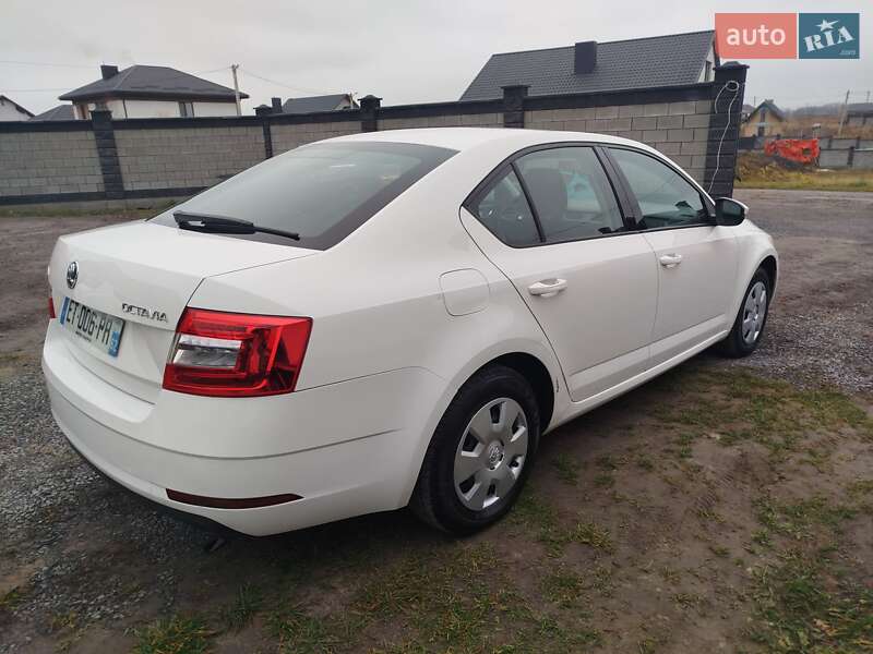 Лифтбек Skoda Octavia 2018 в Ровно фото 25 Лифтбек Skoda Octavia 2018 в Ровно