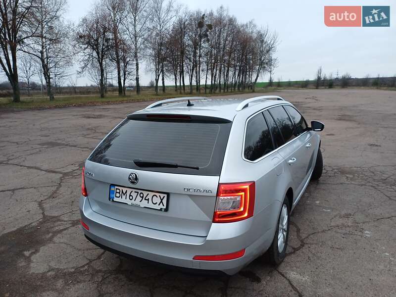 Универсал Skoda Octavia 2015 в Тростянце
