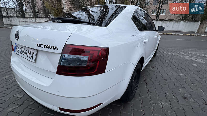 Универсал Skoda Octavia 2019 в Киеве