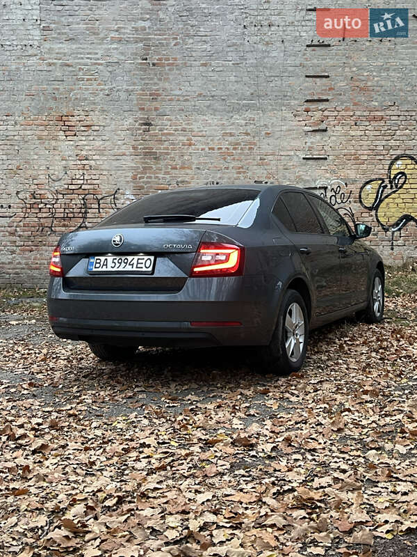 Ліфтбек Skoda Octavia 2017 в Кропивницькому