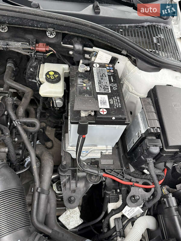 Лифтбек Skoda Octavia 2020 в Каменском фото 35 Лифтбек Skoda Octavia 2020 в Каменском