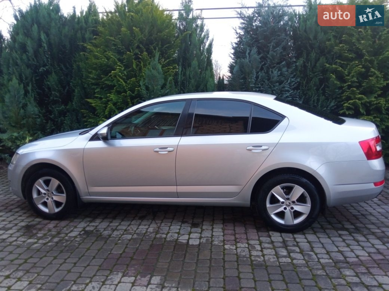 2014 Skoda Octavia - мініатюра 19