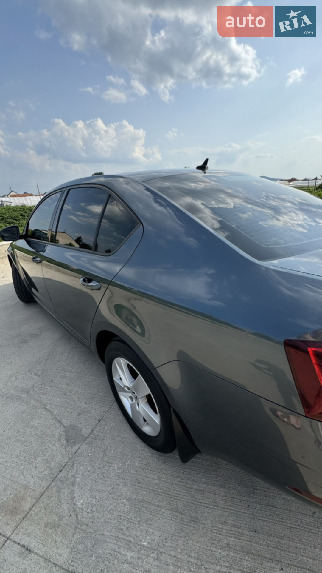 2018 Skoda Octavia - мініатюра 13
