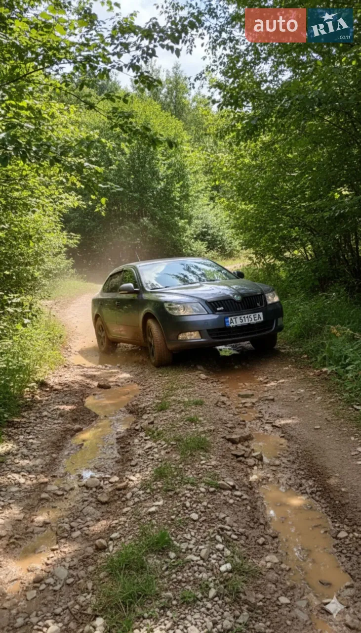 2013 Skoda Octavia - мініатюра 60