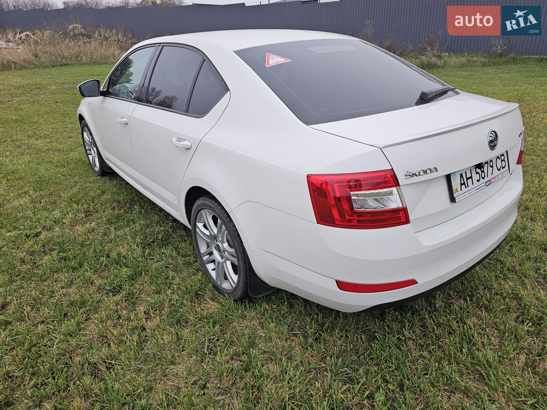 2013 Skoda Octavia - мініатюра 9
