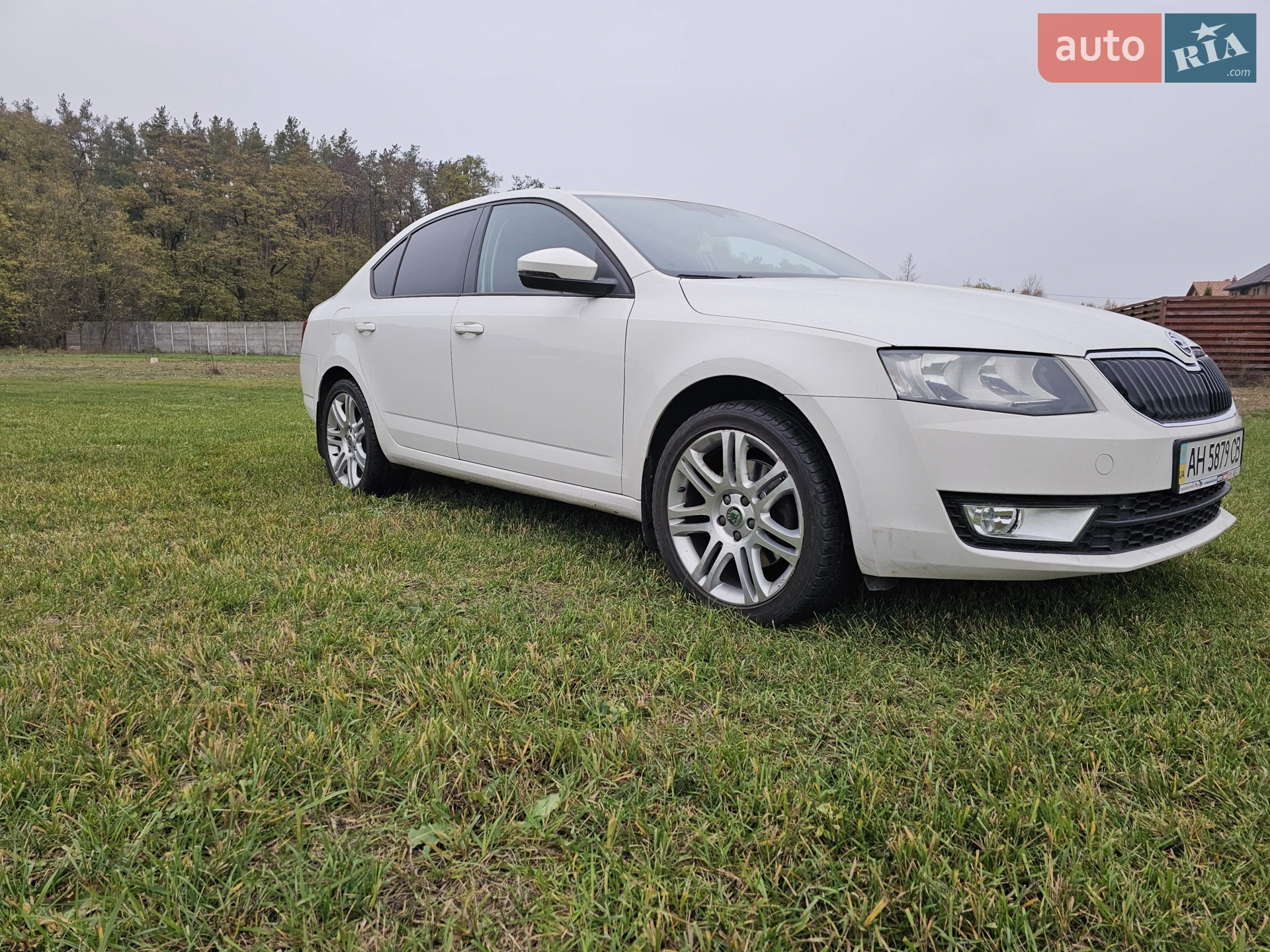 2013 Skoda Octavia - мініатюра 12