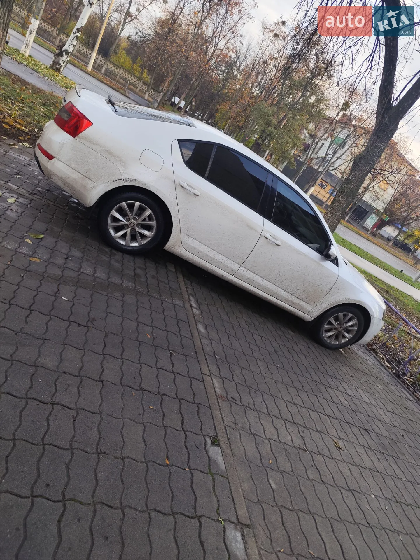 2016 Skoda Octavia - мініатюра 2