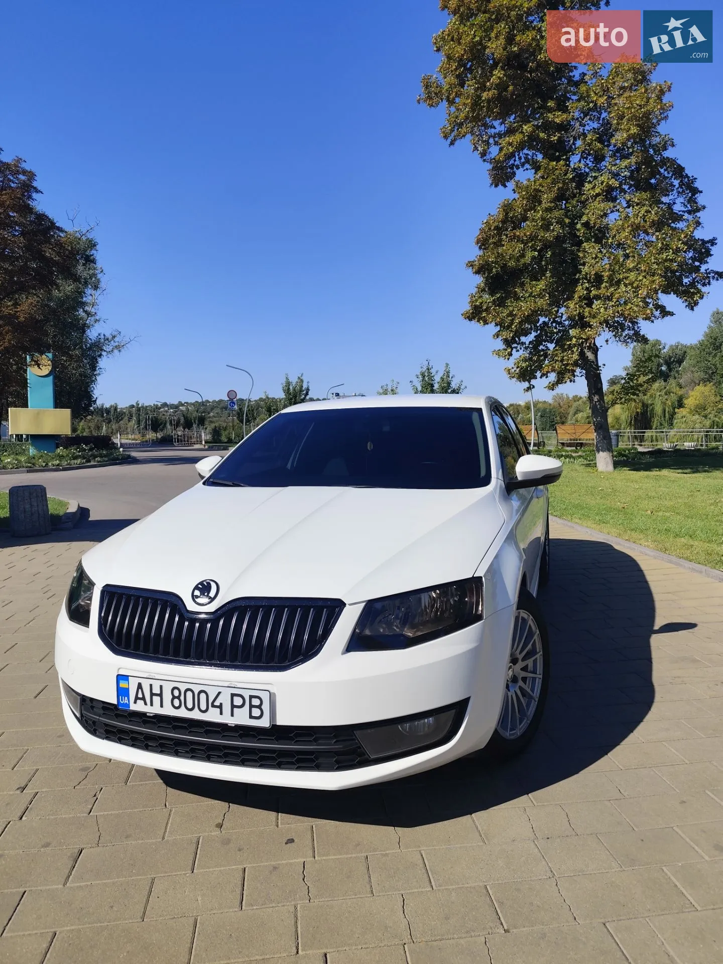 2016 Skoda Octavia - мініатюра 5