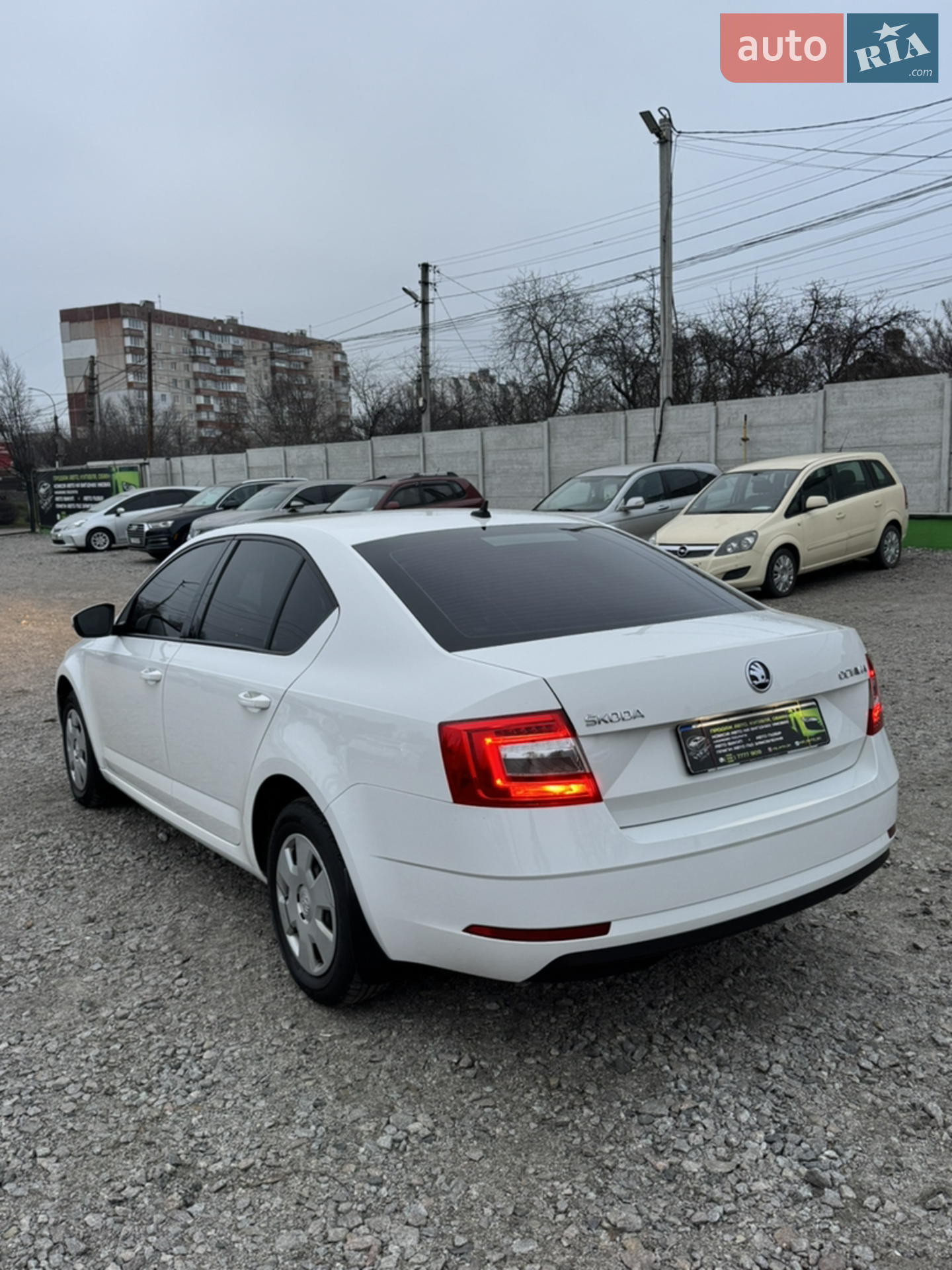 2019 Skoda Octavia - мініатюра 9
