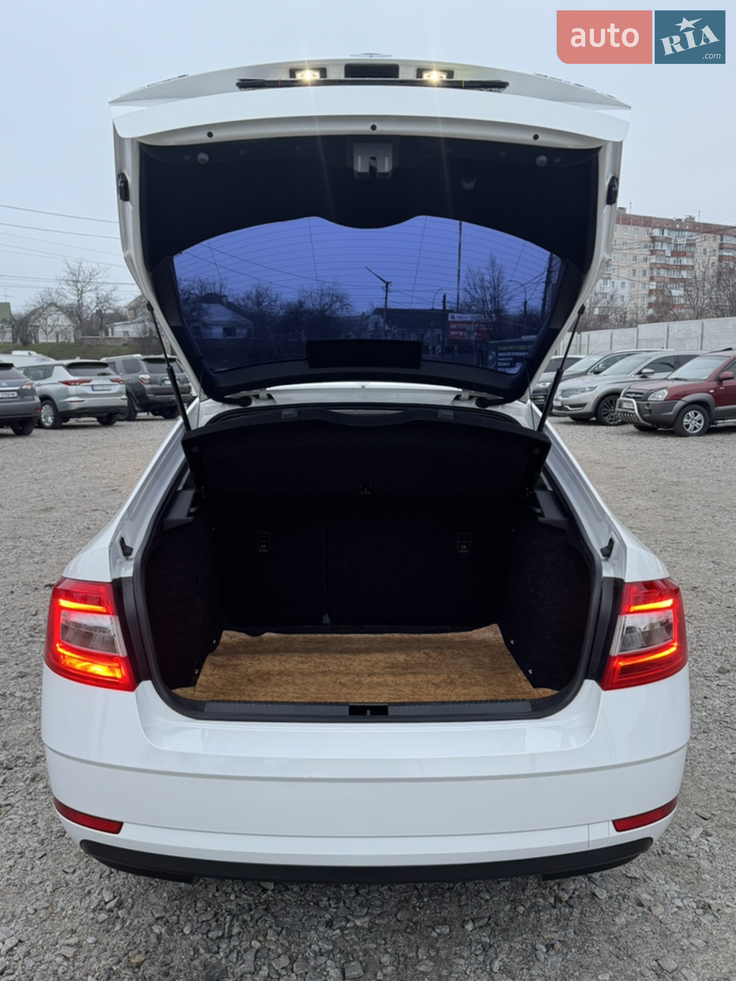 2019 Skoda Octavia - мініатюра 11