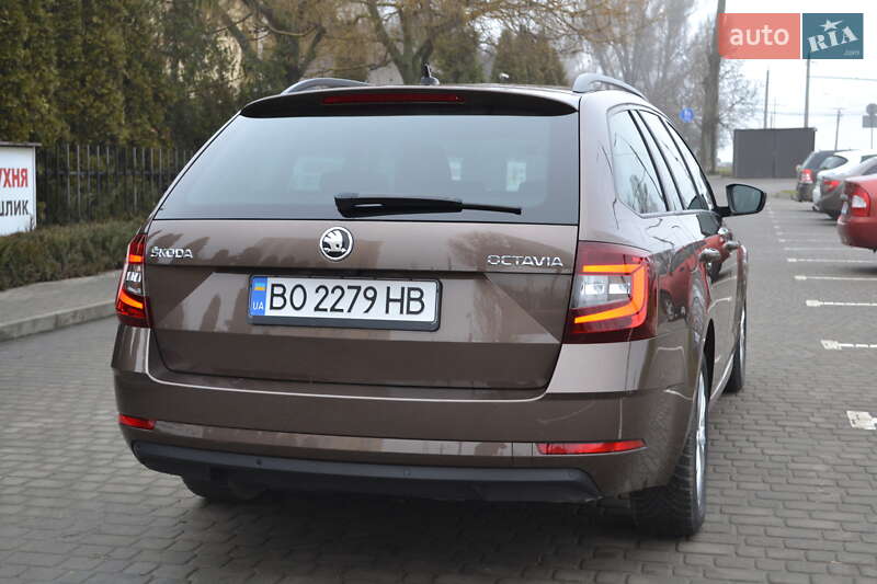 Універсал Skoda Octavia 2019 в Тернополі