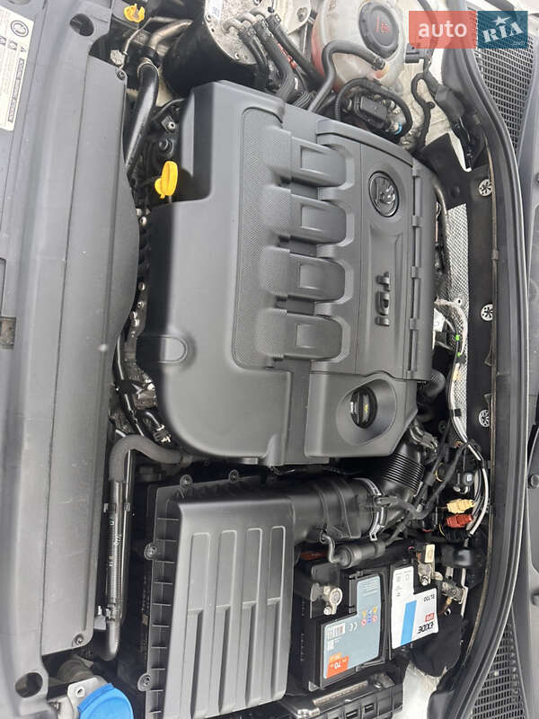 Универсал Skoda Octavia 2019 в Броварах