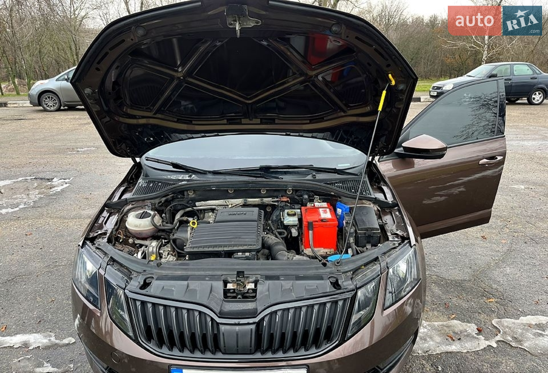 2017 Skoda Octavia - мініатюра 13