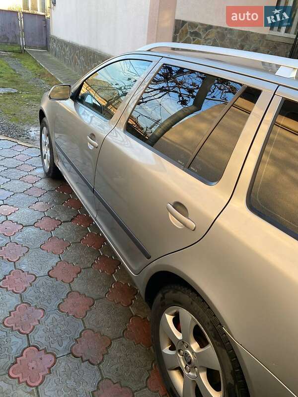 Универсал Skoda Octavia 2007 в Великом Березном