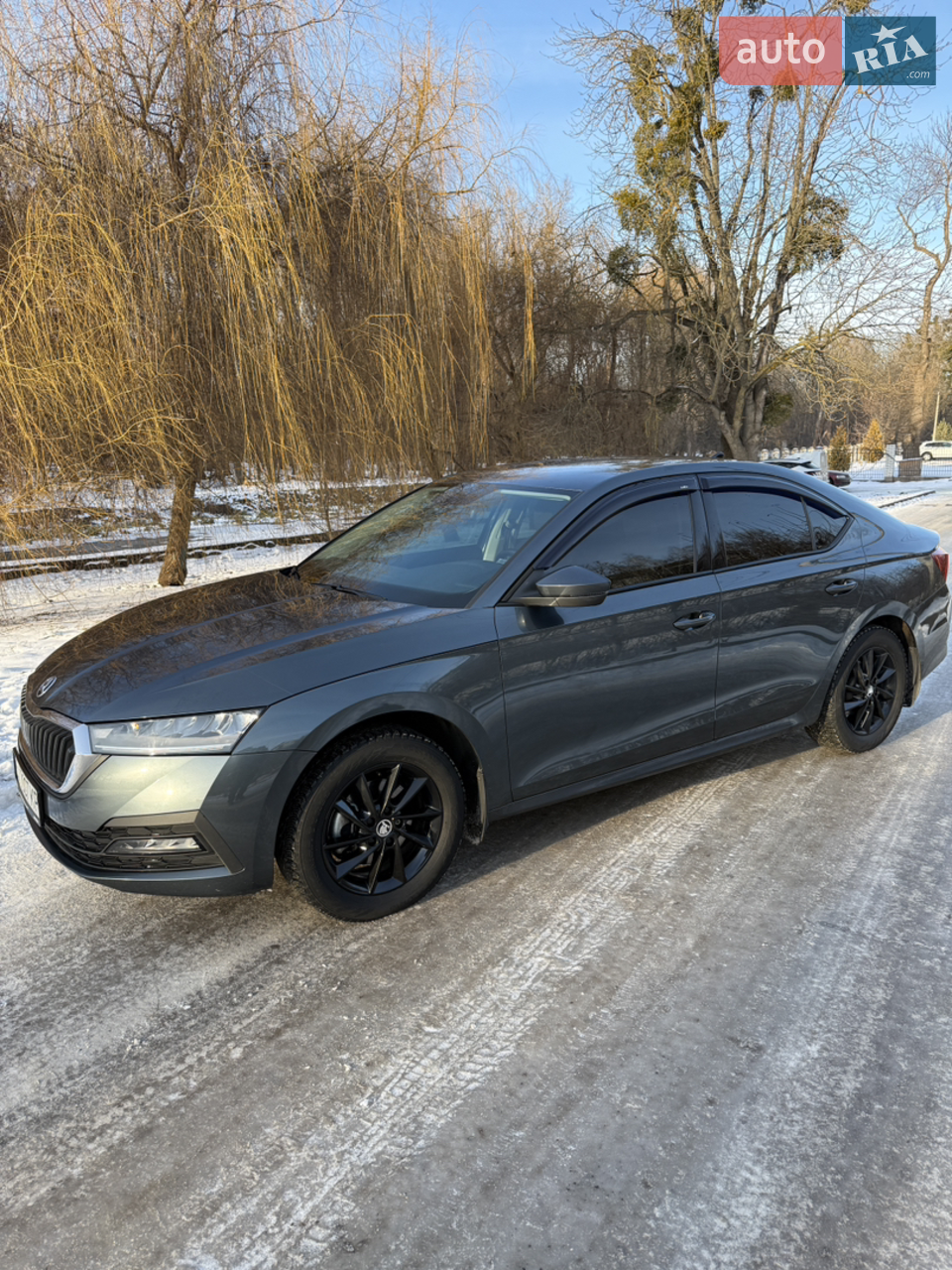 2021 Skoda Octavia - мініатюра 15