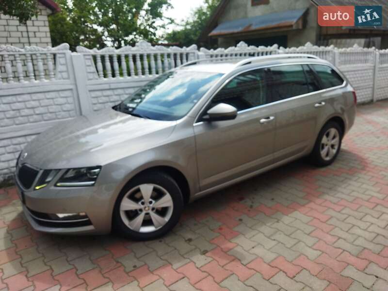 Универсал Skoda Octavia 2019 в Звягеле фото 48 Универсал Skoda Octavia 2019 в Звягеле