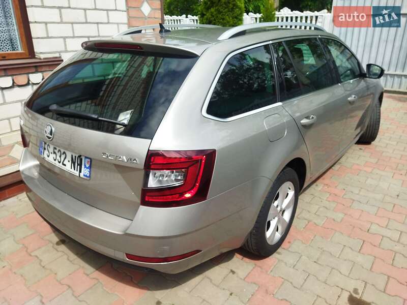 Универсал Skoda Octavia 2019 в Звягеле фото 65 Универсал Skoda Octavia 2019 в Звягеле