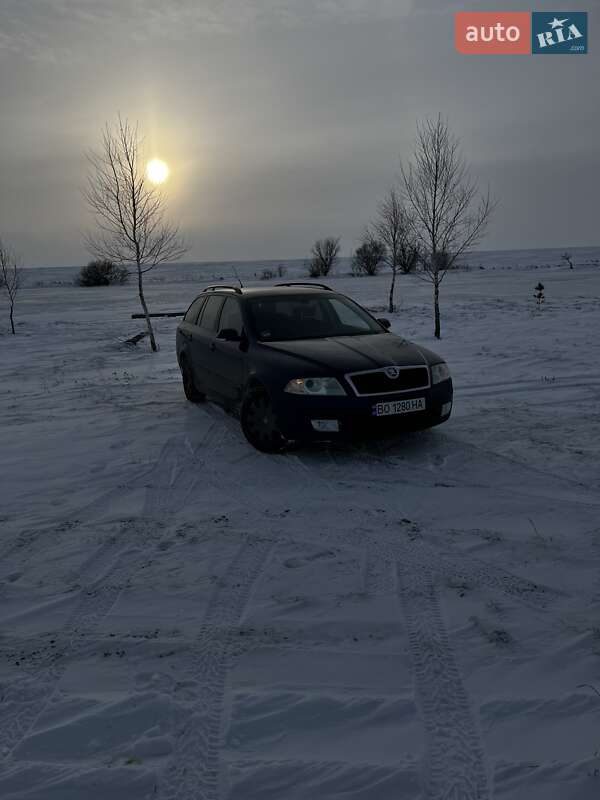 Универсал Skoda Octavia 2005 в Теребовле