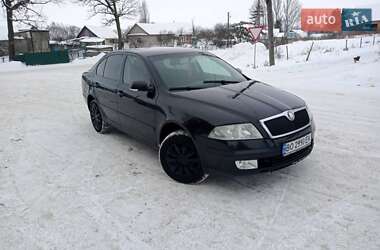 Лифтбек Skoda Octavia 2006 в Теофиполе
