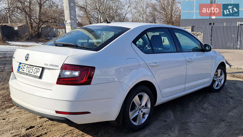 Skoda Octavia 2019 Skoda Octavia 2019