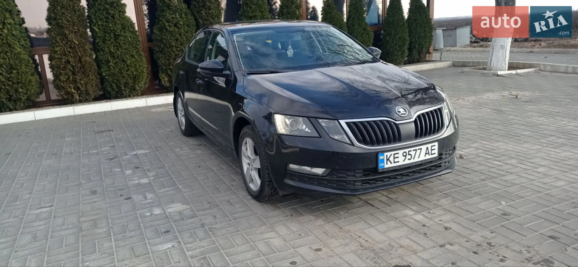 2019 Skoda Octavia - фото 1
