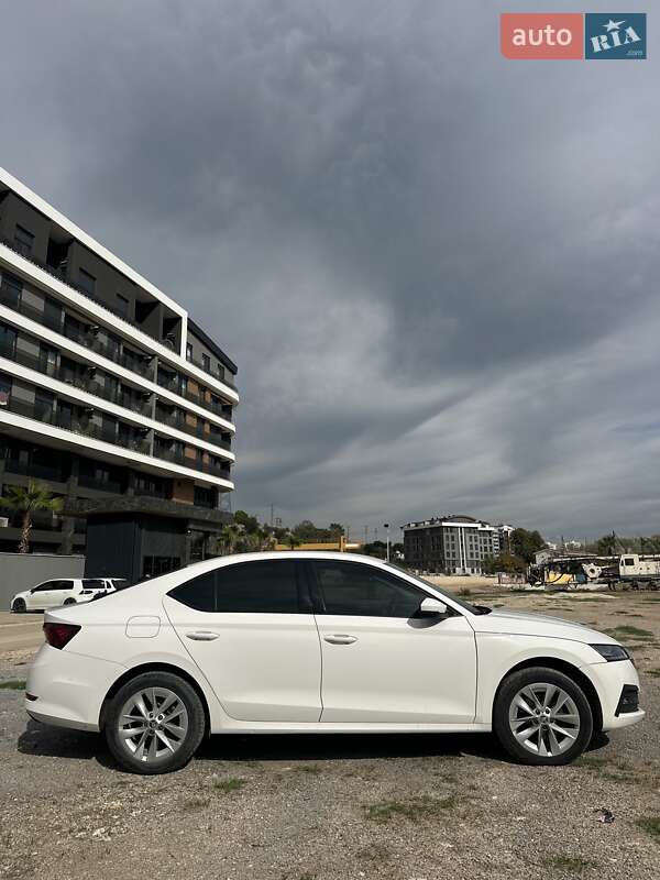 Лифтбек Skoda Octavia 2021 в Светловодске фото 2 Лифтбек Skoda Octavia 2021 в Светловодске