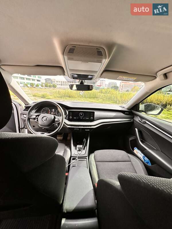 Лифтбек Skoda Octavia 2021 в Светловодске фото 8 Лифтбек Skoda Octavia 2021 в Светловодске