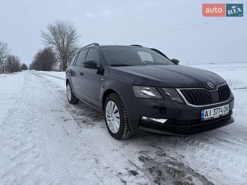 2017 Skoda Octavia, VIN TMBJJ7NE1J0095541:plate — фото 1 (autoria)