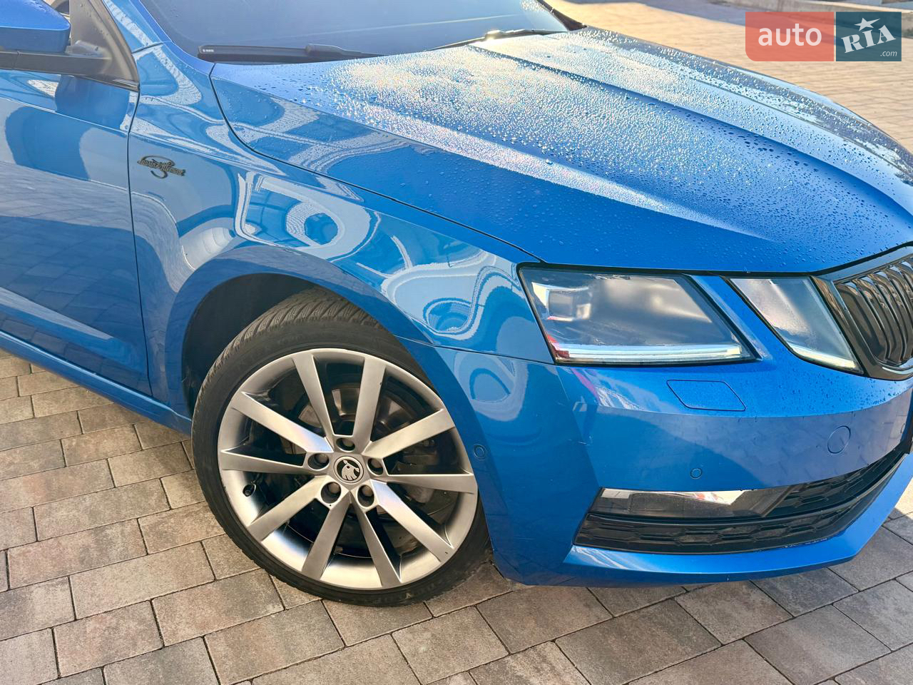 2019 Skoda Octavia - мініатюра 13