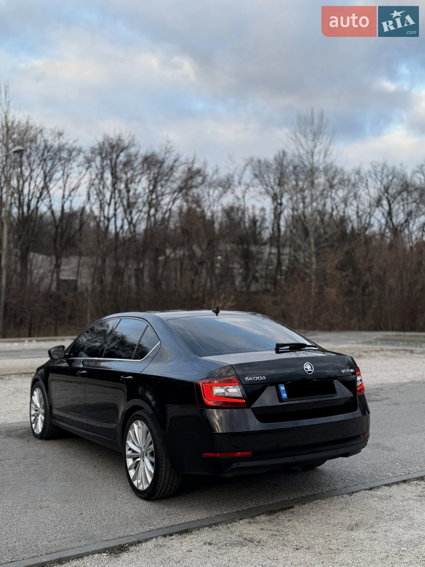 2018 Skoda Octavia - мініатюра 12