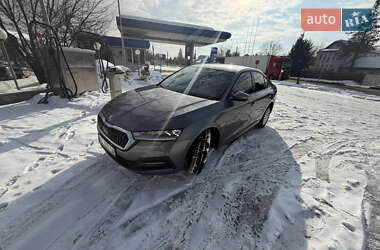 Ліфтбек Skoda Octavia 2023 в Івано-Франківську