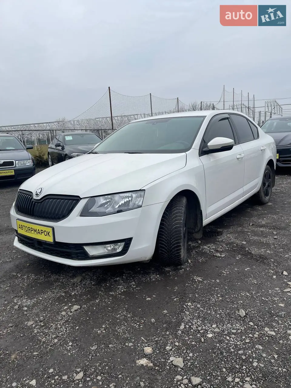 2013 Skoda Octavia - мініатюра 31
