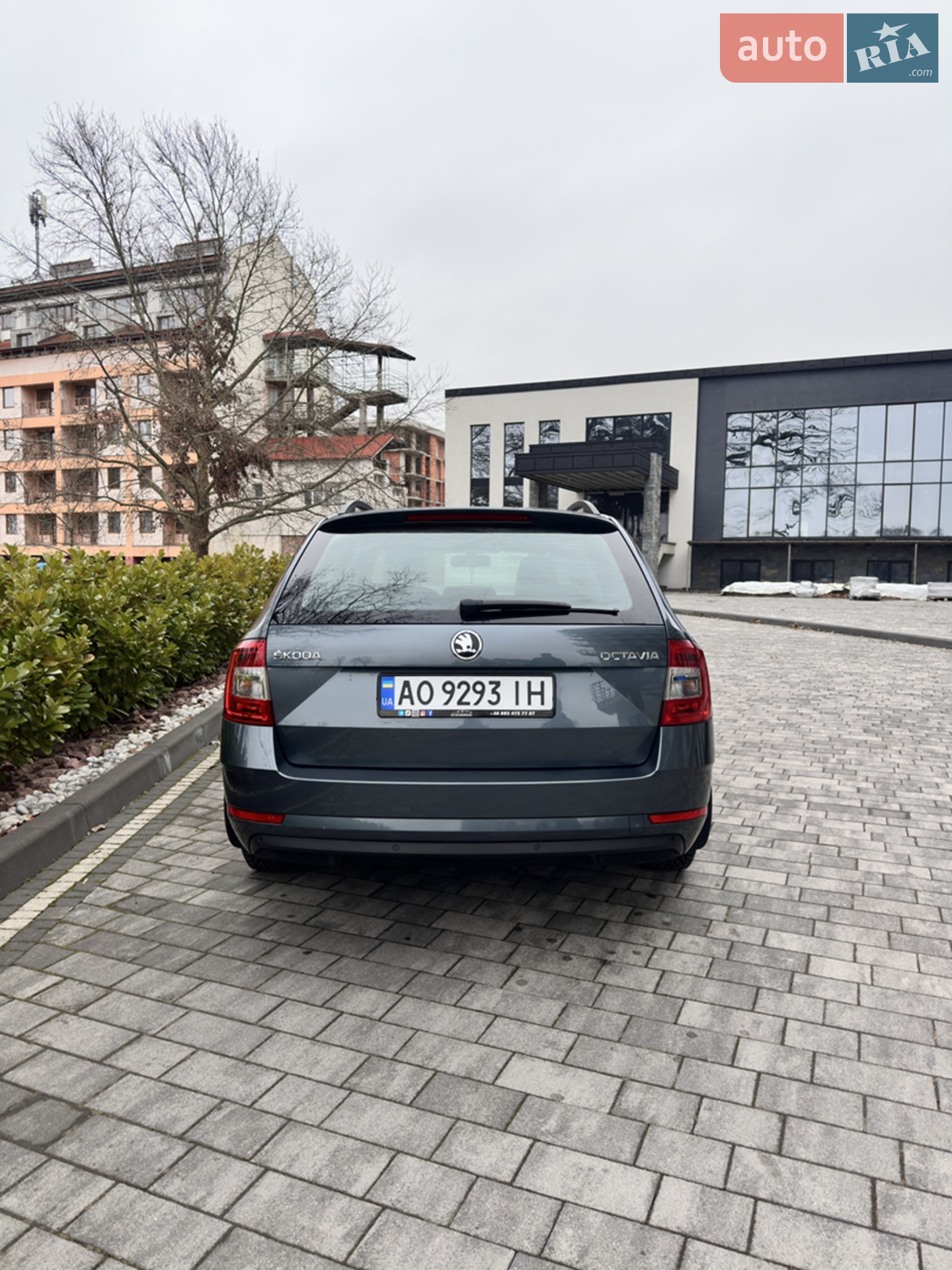 2019 Skoda Octavia - мініатюра 6