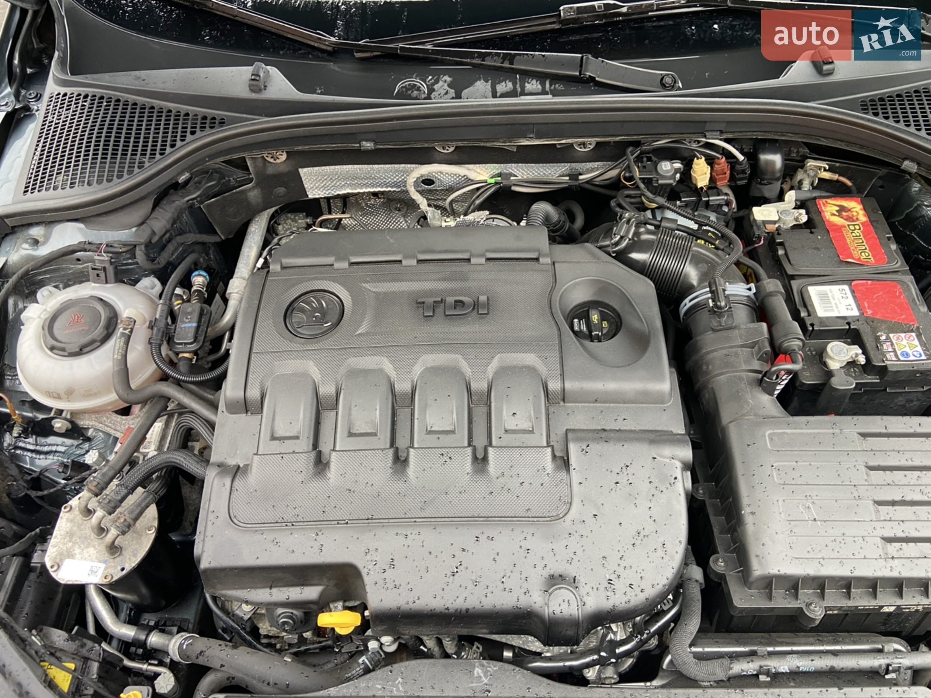 2019 Skoda Octavia - мініатюра 23