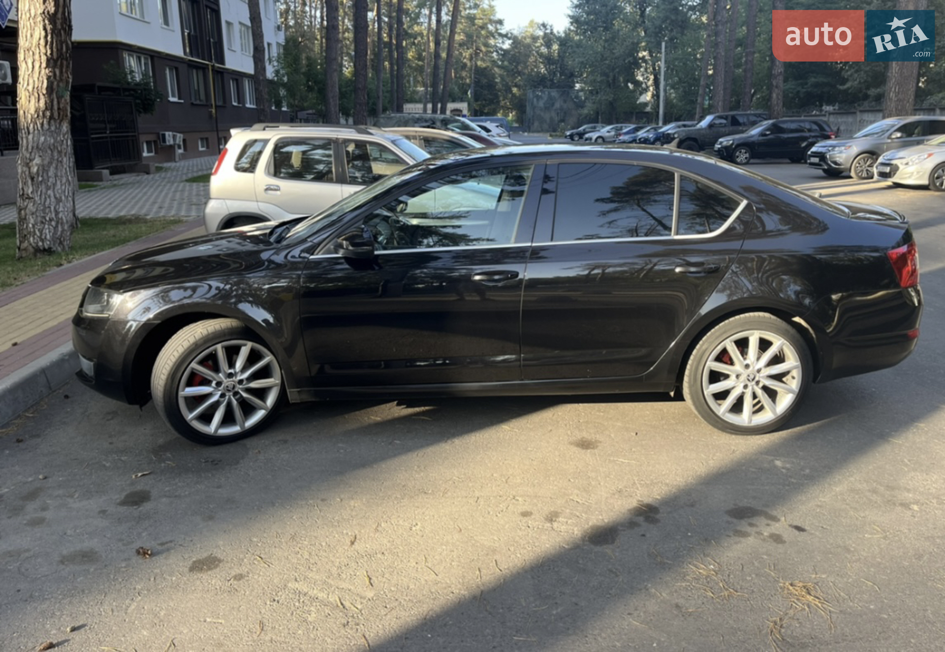 2016 Skoda Octavia - мініатюра 3