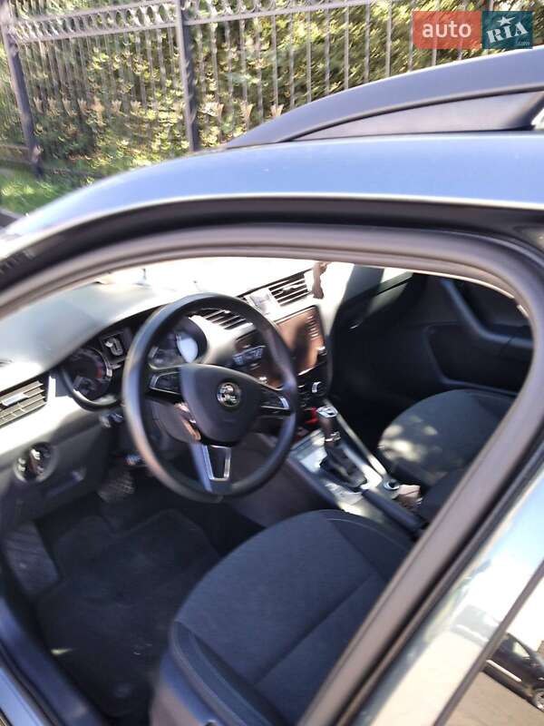 Универсал Skoda Octavia 2019 в Луцке фото Универсал Skoda Octavia 2019 в Луцке