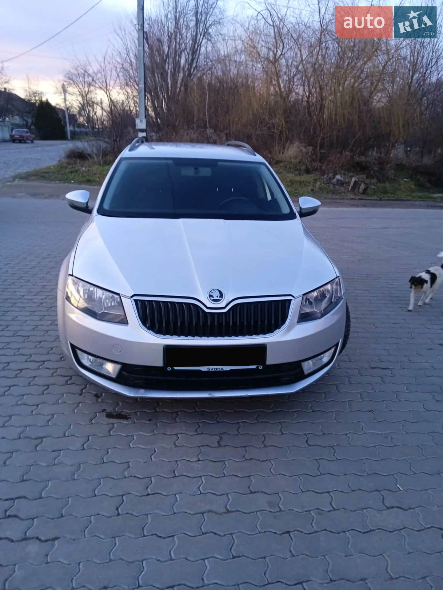 2014 Skoda Octavia - мініатюра 5
