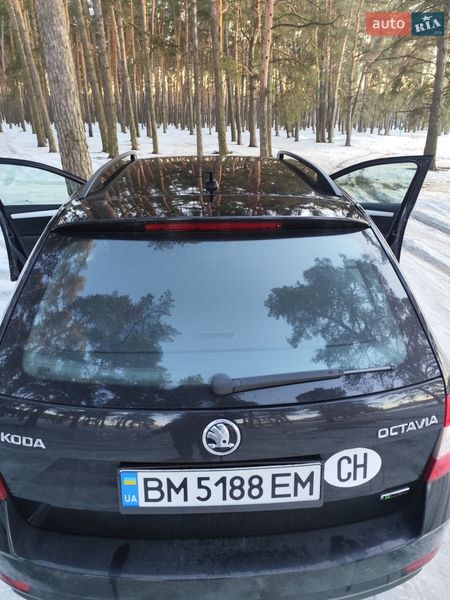 Универсал Skoda Octavia 2019 в Киеве