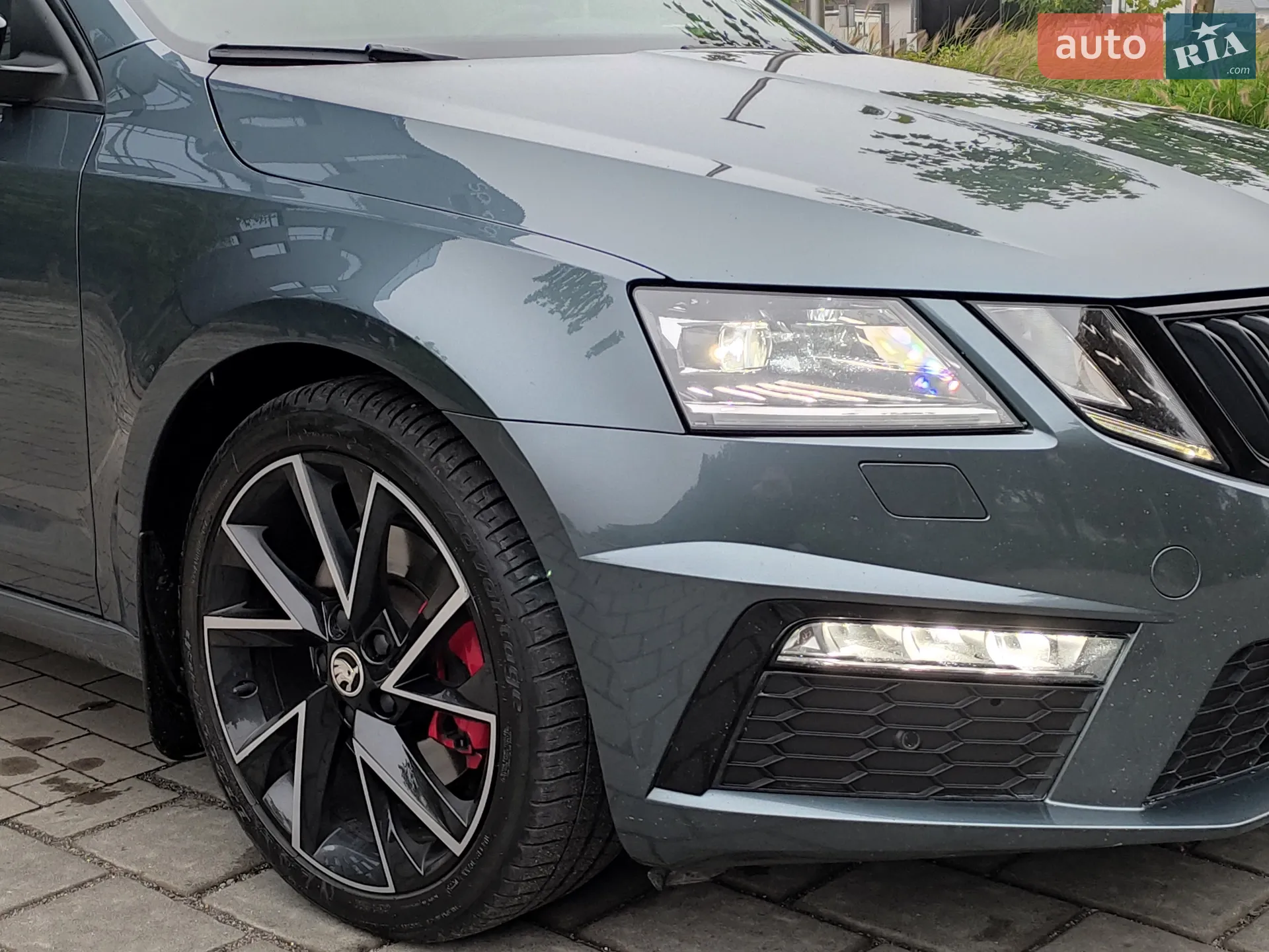 2019 Skoda Octavia - мініатюра 26
