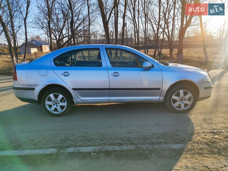 Лифтбек Skoda Octavia 2006 в Крыжополе