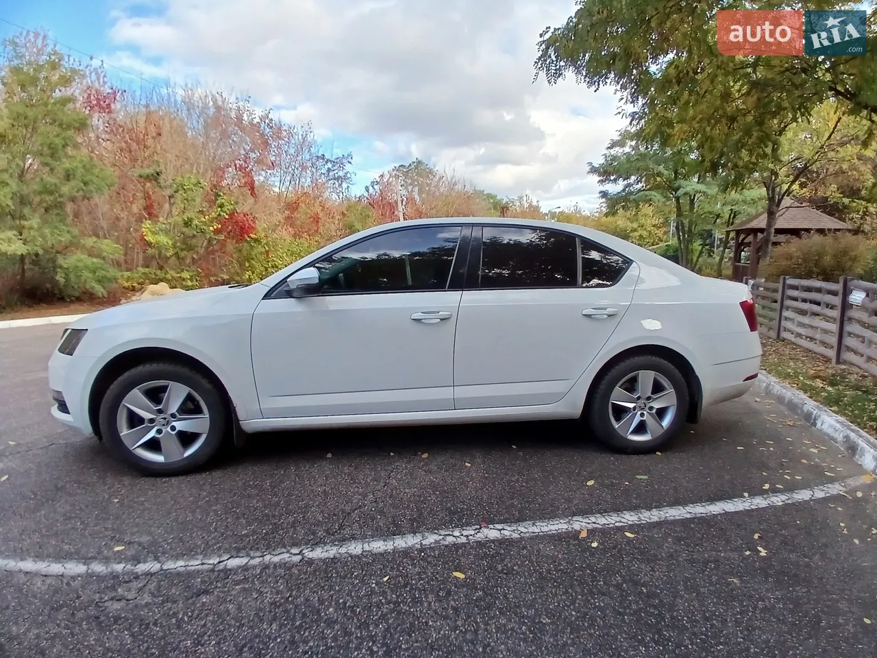 2018 Skoda Octavia - мініатюра 17