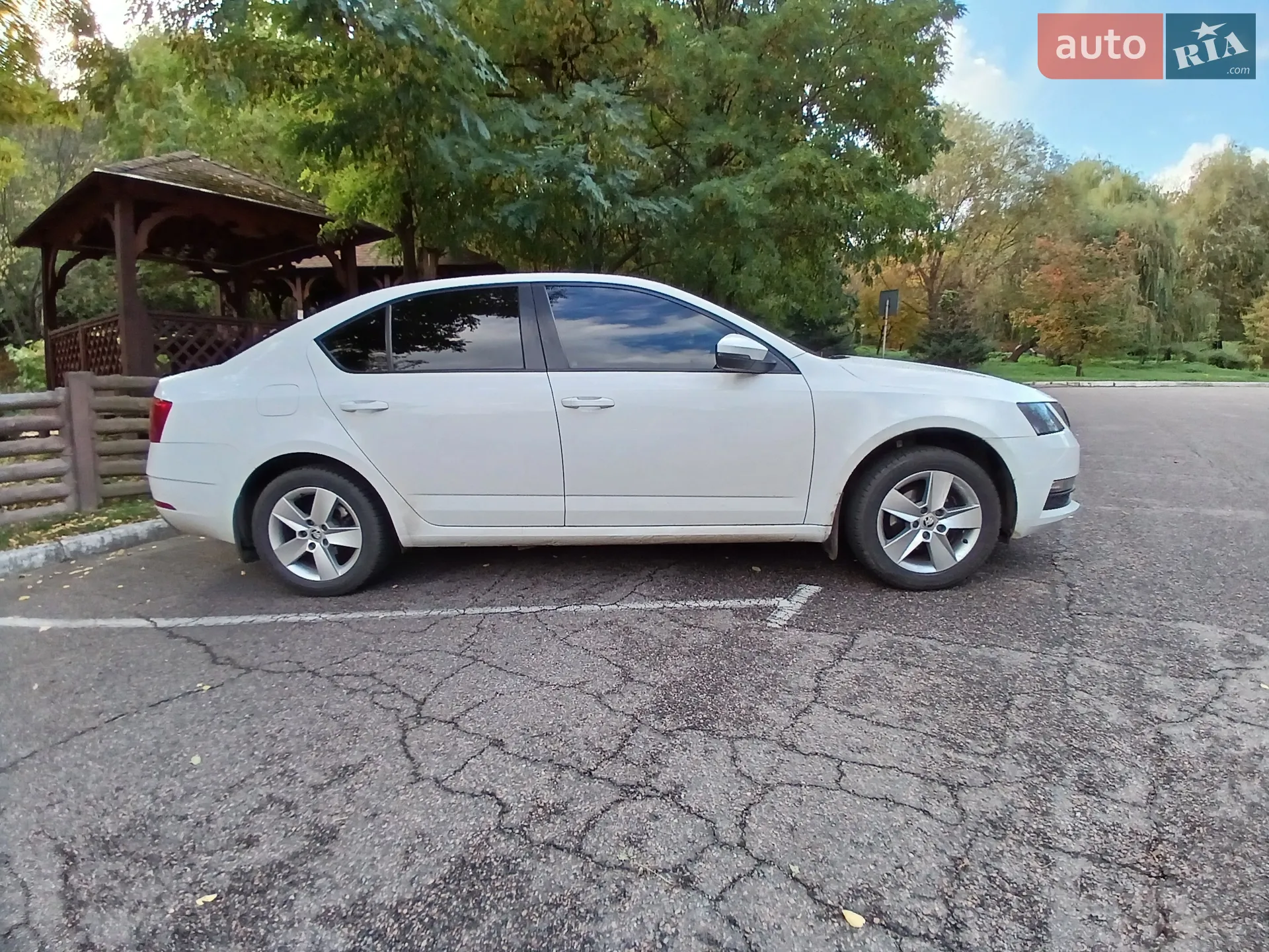 2019 Skoda Octavia - мініатюра 9