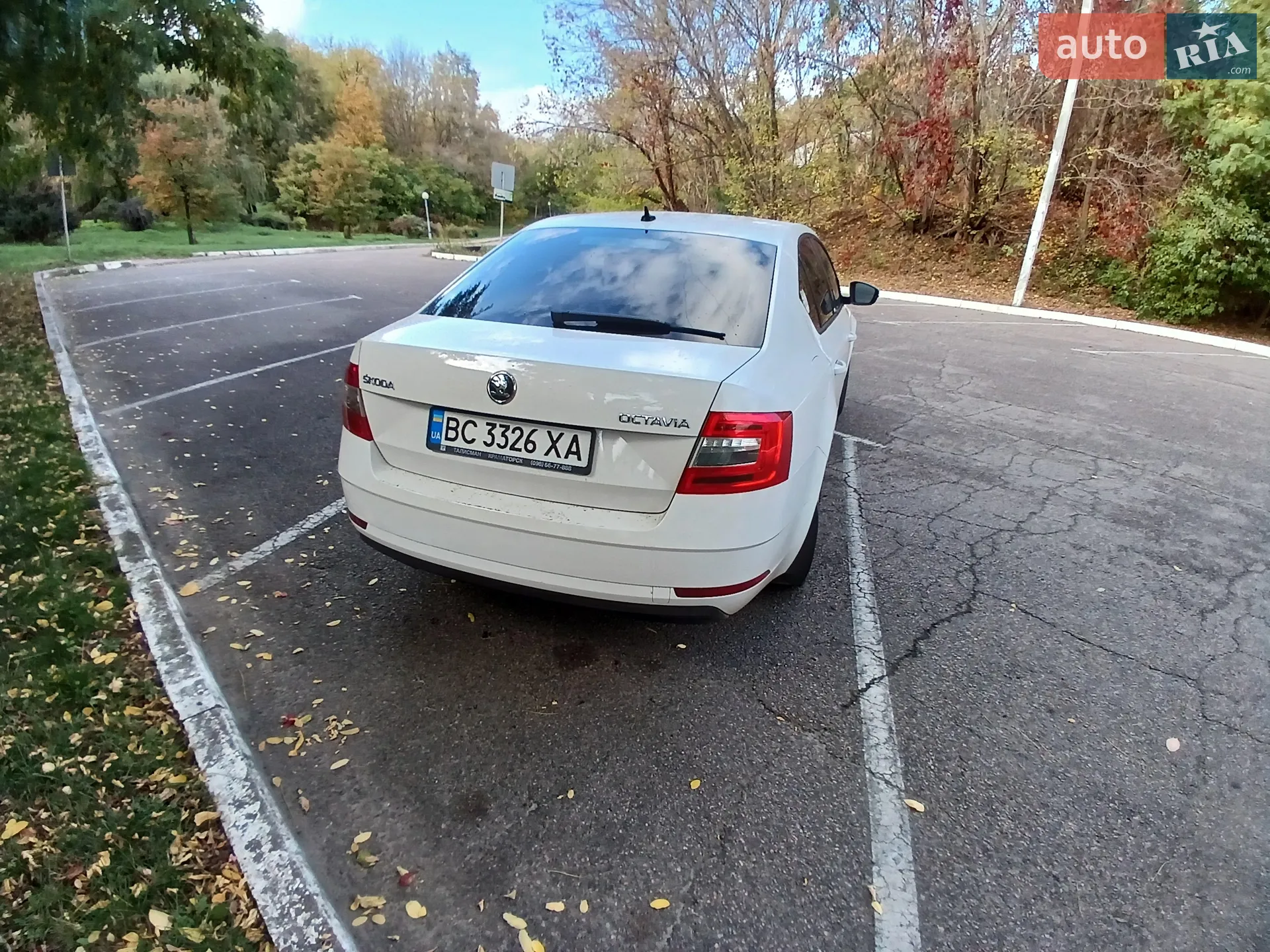 2019 Skoda Octavia - мініатюра 10