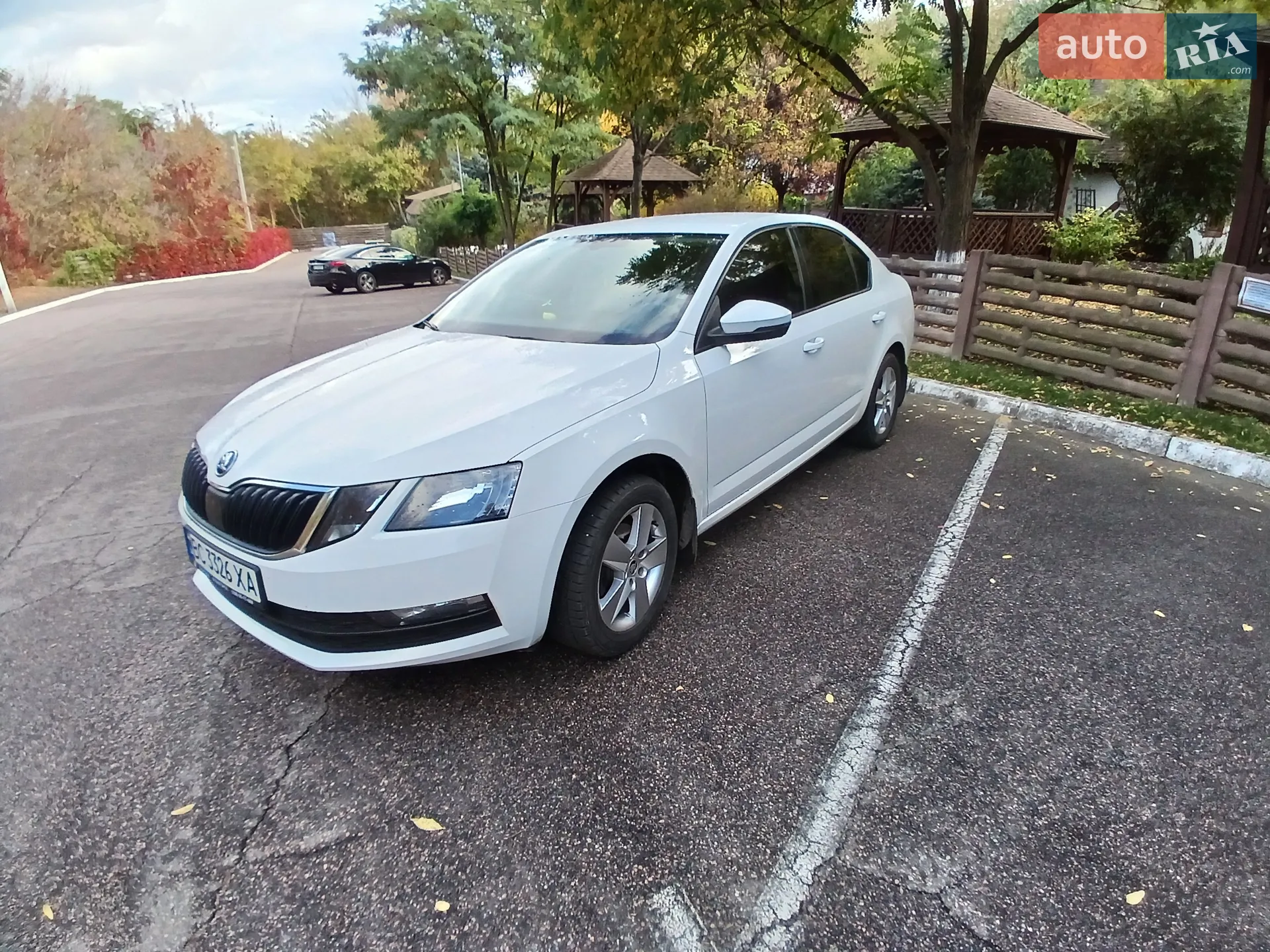 2019 Skoda Octavia - мініатюра 6
