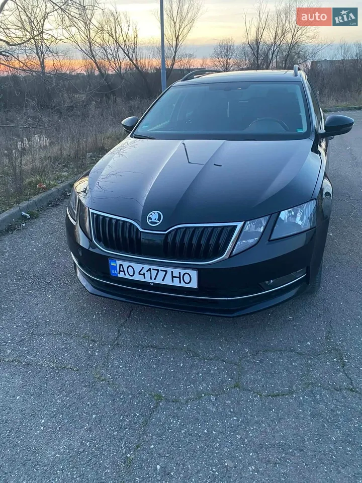 2018 Skoda Octavia - мініатюра 38
