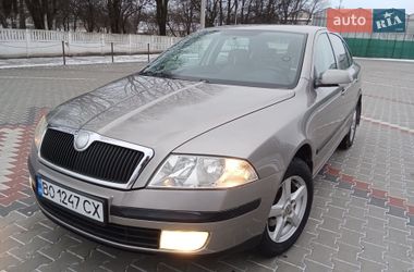 Лифтбек Skoda Octavia 2007 в Теофиполе