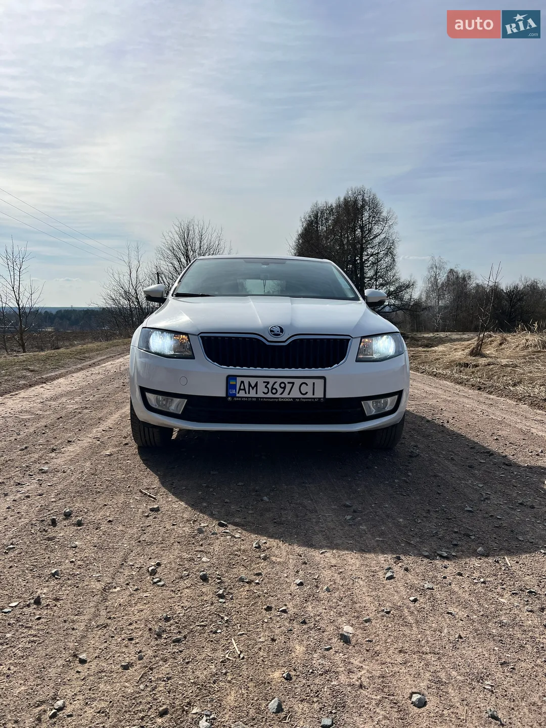 2013 Skoda Octavia - мініатюра 5