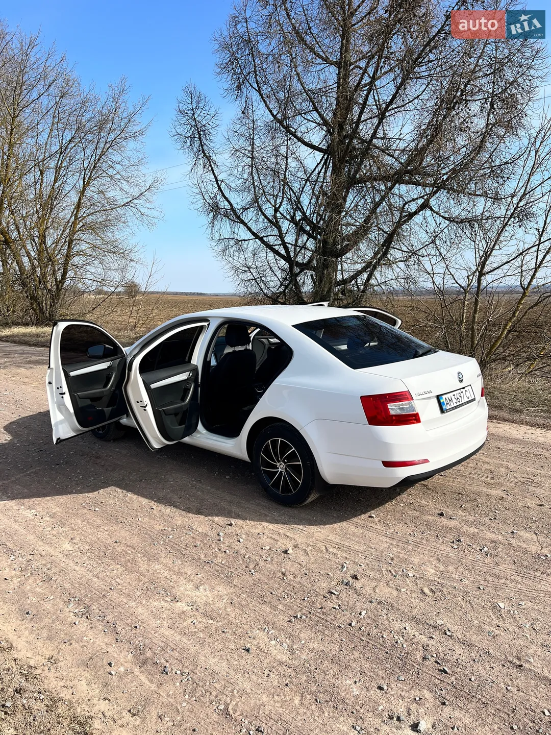 2013 Skoda Octavia - мініатюра 9