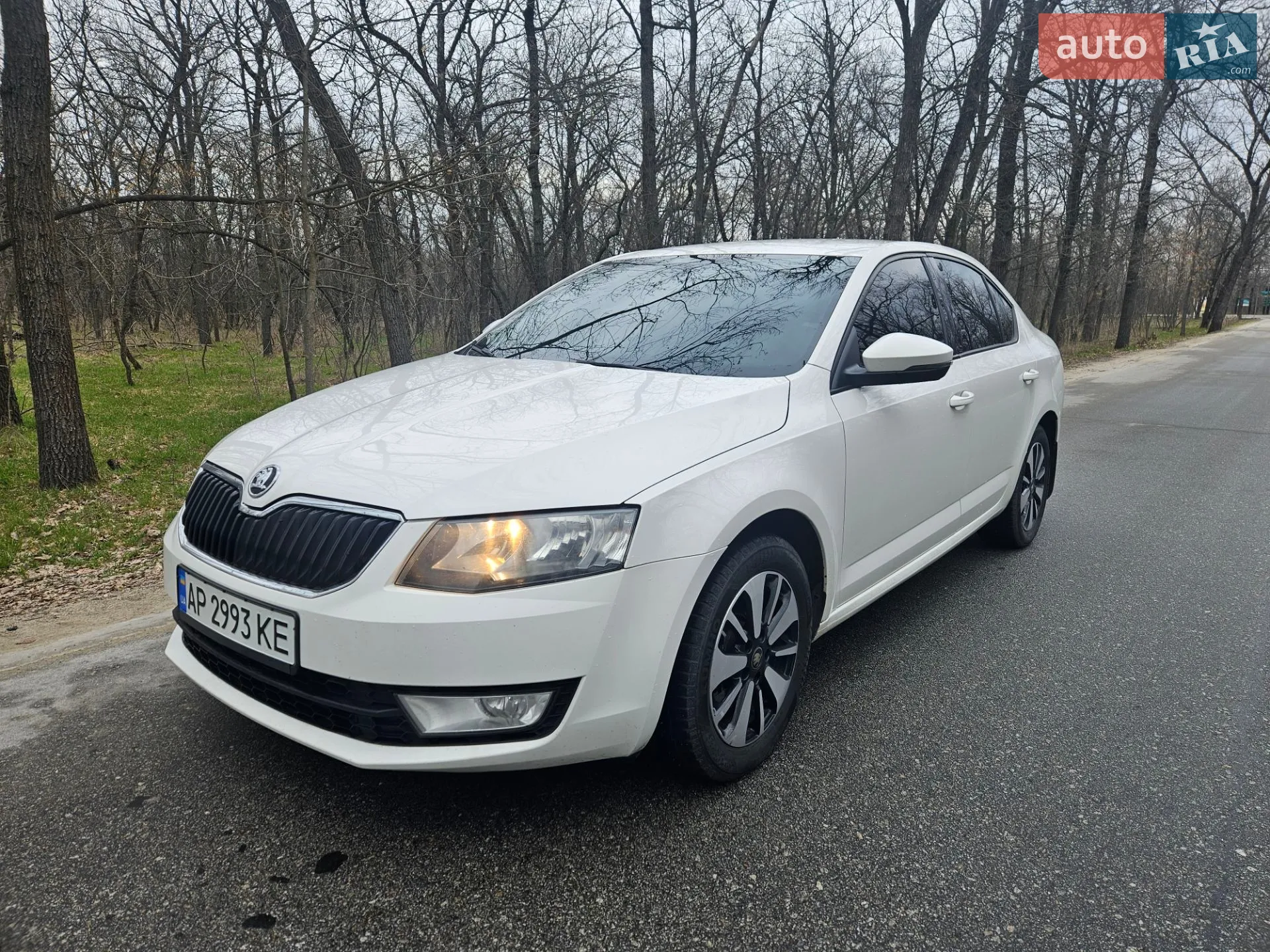 2016 Skoda Octavia - мініатюра 4