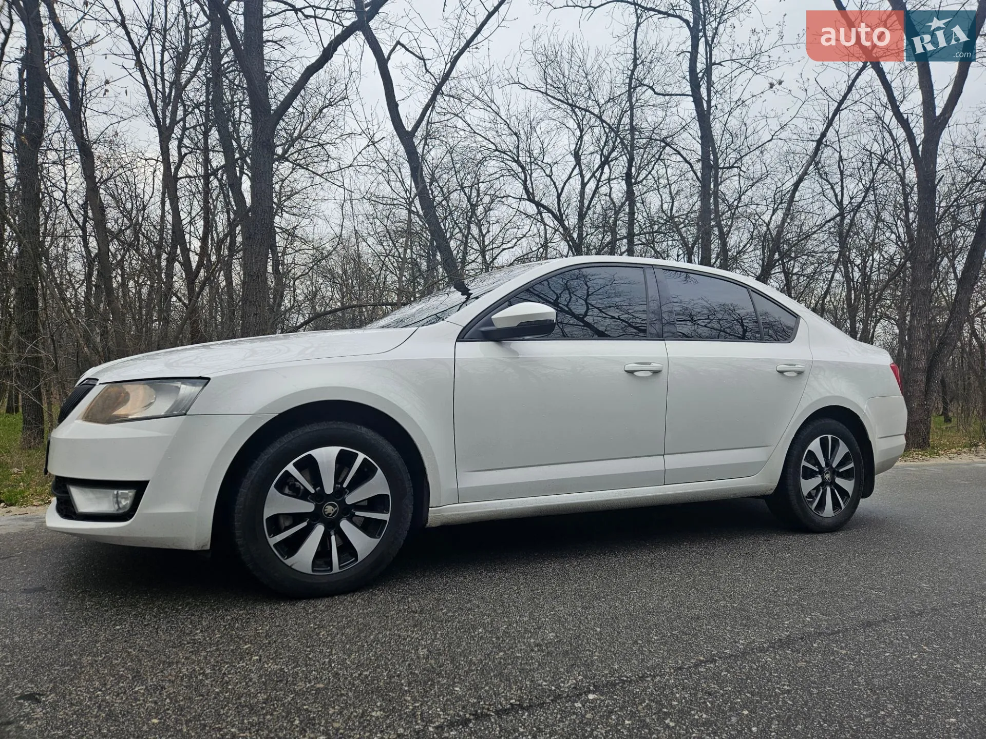 2016 Skoda Octavia - мініатюра 8